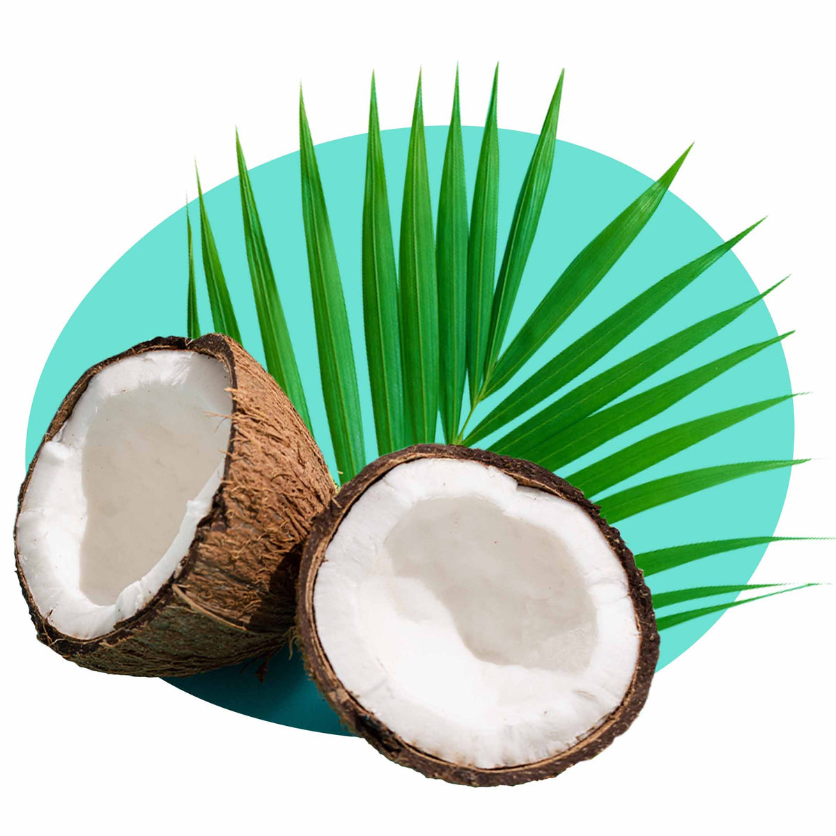 CRAFTED FOR YOUR SAFETY