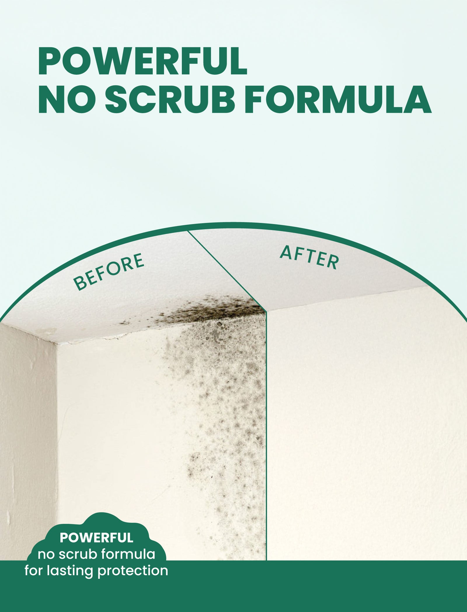 Mold & Mildew Stain Remover Spray