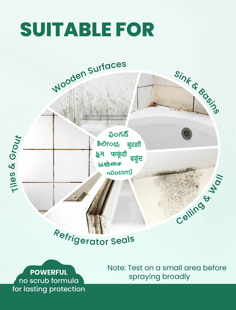 Mold & Mildew Stain Remover Spray