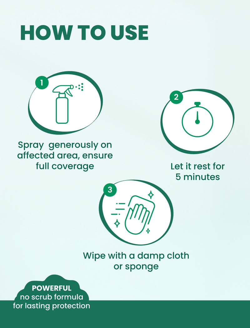 Mold & Mildew Stain Remover Spray