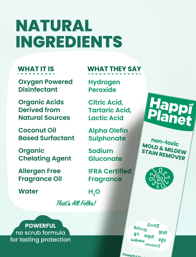 Mold & Mildew Stain Remover Spray